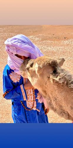 una persona con un envoltorio en la cabeza besando un camello en Taragalte Nomad Camp, en Mhamid