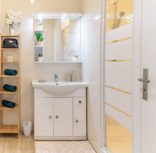 une salle de bain avec un lavabo et une douche dans l'établissement Emeraude centre ville, à Marseille