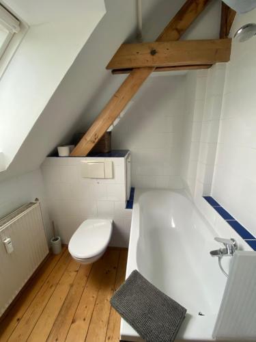 a bathroom with a toilet and a bath tub at Messeapartment Stockum in Düsseldorf