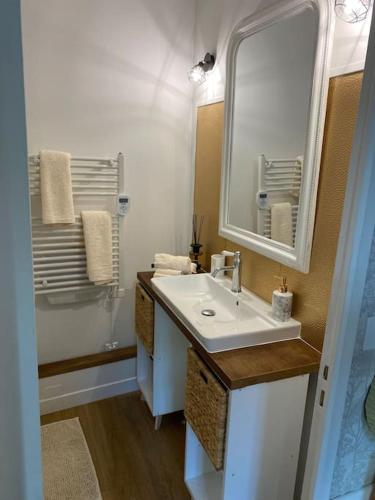La salle de bains est pourvue d'un lavabo et d'un miroir. dans l'établissement Maison de charme, à Ambleny