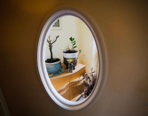 a round mirror with plants on a shelf in a room at Villa Romano in Kielce