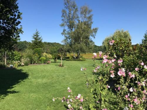Sologne des étangs - Bontens في Saint-Viâtre: حديقة بها زهور وردية في الفناء
