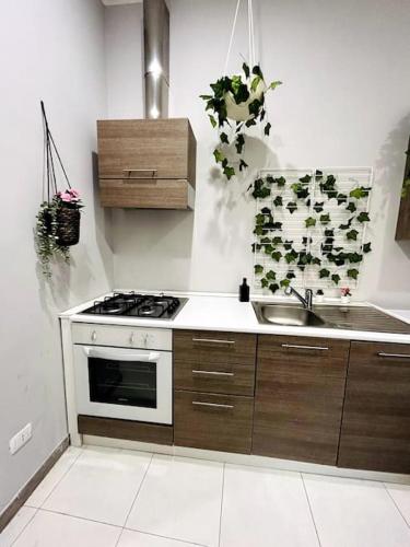 Kuchyň nebo kuchyňský kout v ubytování Rooms Zecchino