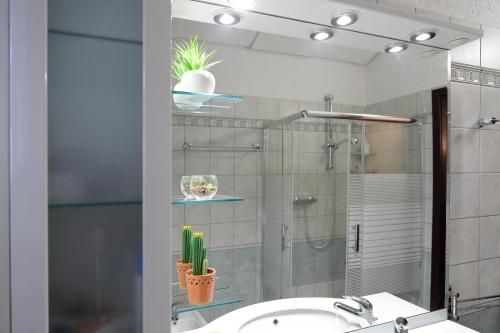 y baño con ducha, lavabo y espejo. en villa Marina, en Borgo Grotta Gigante