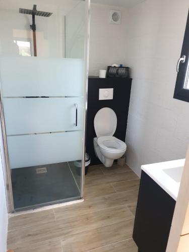 une salle de bain avec toilettes, lavabo et miroir dans l'établissement casasantellix, à Prunelli-di-Fiumorbo