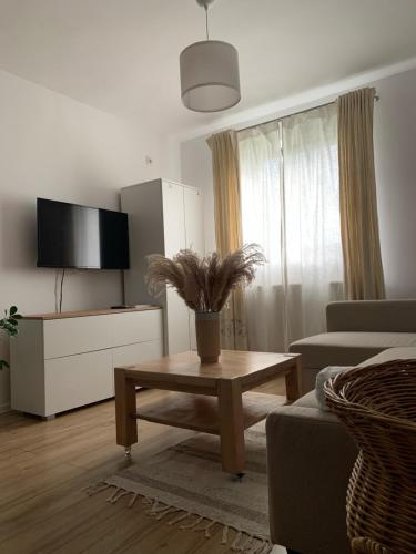 Μια τηλεόραση ή/και κέντρο ψυχαγωγίας στο ROST room