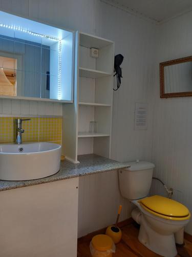 a bathroom with a sink and a toilet and a mirror at Villa Mancina in Capesterre-Belle-Eau