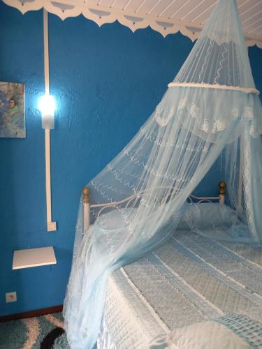 a bedroom with a bed with a mosquito net at Villa Mancina in Capesterre-Belle-Eau