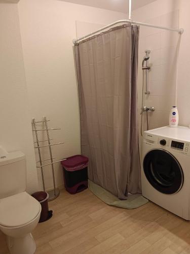 a bathroom with a toilet and a washing machine at Maison en bordure de forêt in Blanquefort