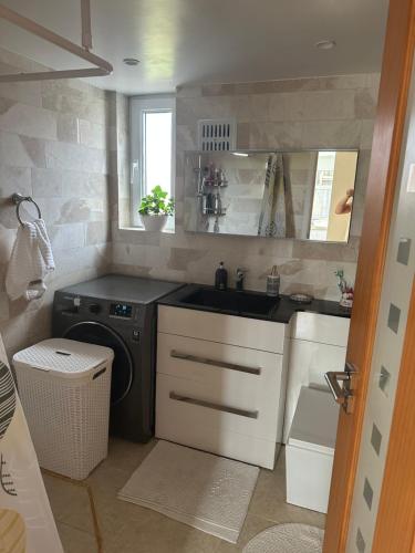 uma cozinha com um lavatório e uma máquina de lavar roupa em Wellcome to Petru em Nevendon
