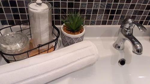 ein Waschbecken mit einer Rolle Toilettenpapier darauf in der Unterkunft Authentique échoppe bordelaise in Libourne