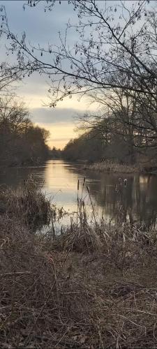 a river with ducks swimming in the water at Landhaus Bia in Burig