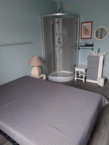 Schlafzimmer mit einem Bett, einer Dusche und einem Waschbecken in der Unterkunft Maison Marinette in La Turballe