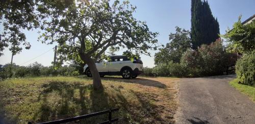 a car parked next to a tree on a road at Hišica na morju in Ankaran