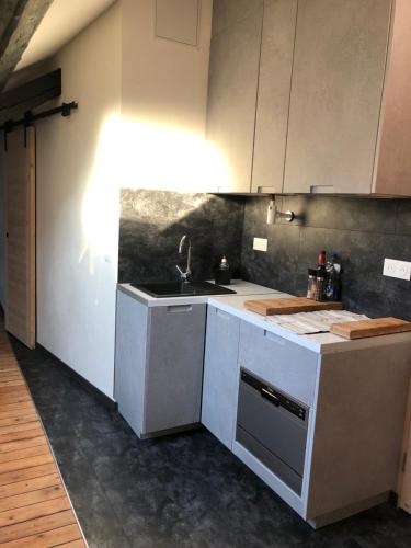 une cuisine avec un évier et un plan de travail dans l'établissement Appartement Art moderne entre Disney et Paris, à Lagny-sur-Marne