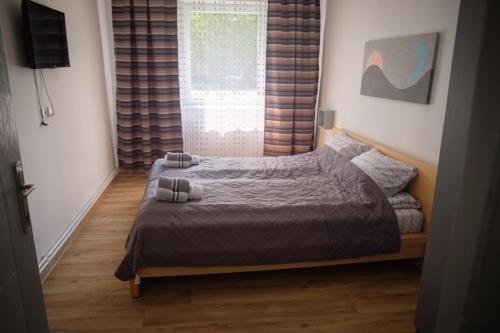 a bedroom with a bed with a window and a television at Kincses Vendégház in Senta