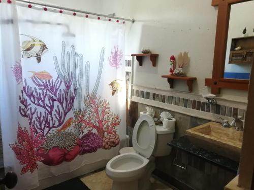 y baño con aseo y cortina de ducha. en Hermoso apartamento de playa en perla marina Sosua - Cabarete, en Sosúa