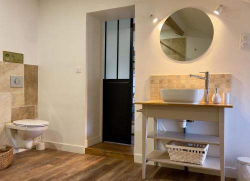 uma casa de banho com um lavatório e um espelho em Studio la Grange em Fontevraud L'Abbaye