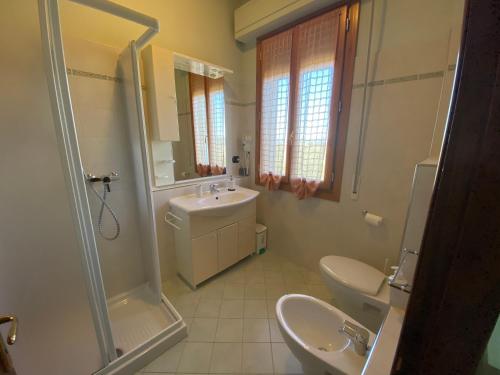 サン・ジミニャーノにあるCountry House Tenuta Fornacelleのバスルーム(洗面台、トイレ、シャワー付)