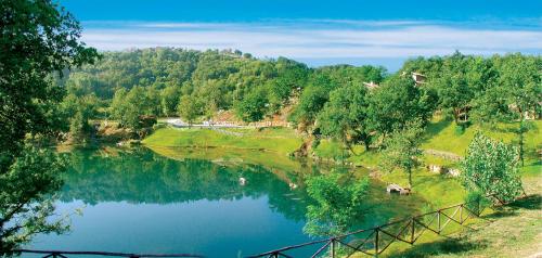 a view of a river with a group of trees at Residence Terre Gialle in Castel del Piano