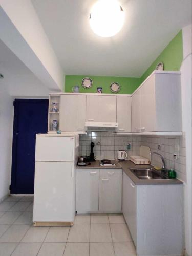 Kuchyň nebo kuchyňský kout v ubytování Villa Zefiros
