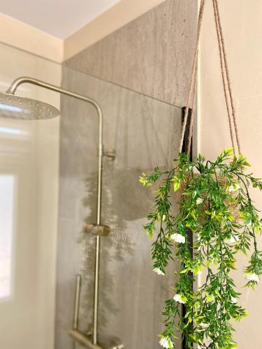 La salle de bains est pourvue d'une douche. dans l'établissement Studio en plein cœur du centre historique, à Aigues-Mortes