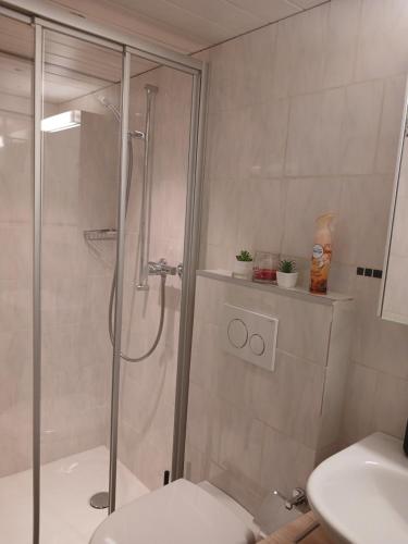La salle de bains est pourvue d'une douche, de toilettes et d'un lavabo. dans l'établissement Ferienwohnung in Bühler, à Bühler