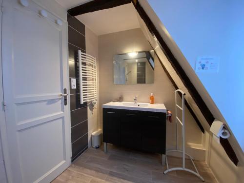uma casa de banho com um lavatório e um espelho em Gite Introvigne Sarlat em Sarlat-la-Canéda