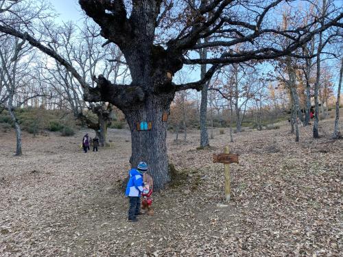 two children standing in front of a tree at HOTEL RURAL EL SABINAR in Crémenes