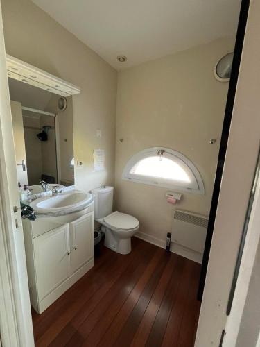 a bathroom with a sink and a toilet and a mirror at Gite de la Salamandre aan de rivier de Cher vlakbij Zoo de Beauval in Thésée