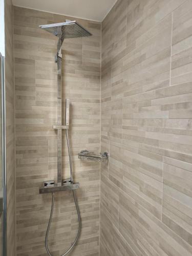 a shower with a shower head in a bathroom at Kuckuckstraum in Schönwald
