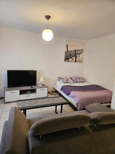 a bedroom with a bed and a tv and a couch at Joli Studio in La Chaux-de-Fonds