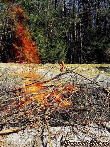 a pile of fire on the ground in a forest at Dom nad Stawem - ALEX in Stara Kiszewa