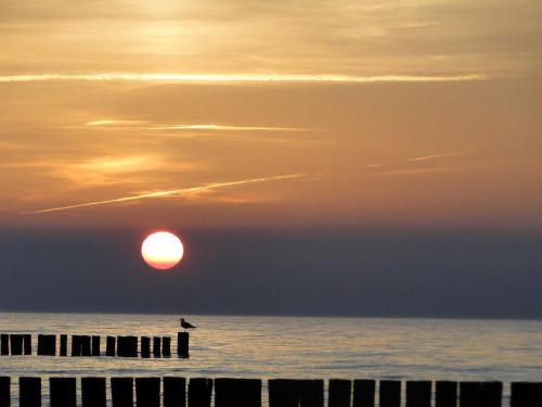 a bird sitting on a pier as the sun sets at Bucheneck WE 13 Simon GM 69758 in Graal-Müritz