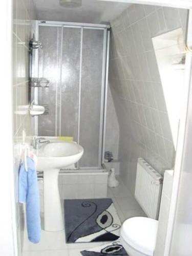 bagno con doccia, lavandino e servizi igienici di Waldesruh Lange GM 69501 a Graal