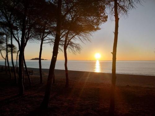 una puesta de sol sobre una playa con árboles y el océano en Da Fra e La, en Girasole
