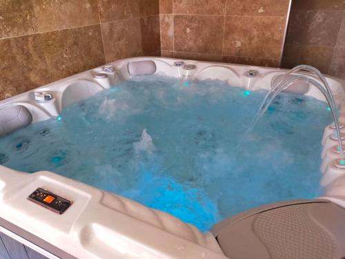 d'une baignoire avec un requin. dans l'établissement ô détour des vignes, à Cavignac