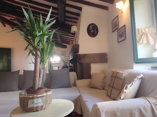 a living room with a couch and a palm tree at Podere I Rovai-apt IL RIFUGIO- in the heart of Tuscany in Reggello