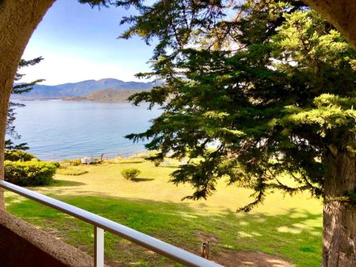 a view of a lake from a porch with a tree at Résidence Padovani Marina in Calcatoggio