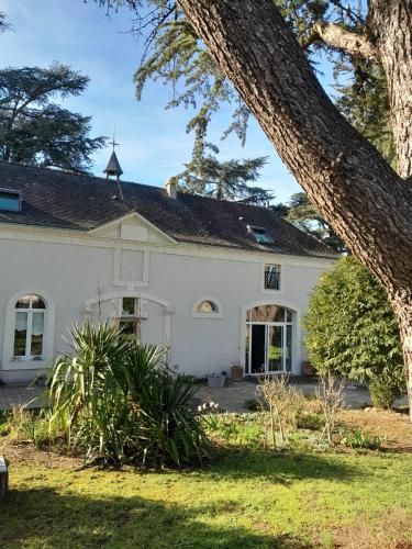 Una casa blanca con un árbol delante. en Le clos du prieuré, en Montjean-sur-Loire