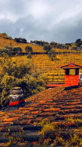 a red building sitting on top of a roof at Casa Odry in Massa