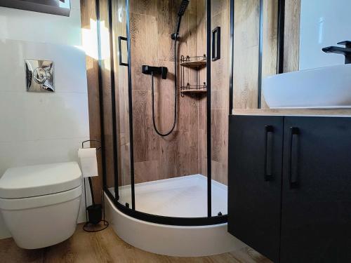 un bagno con doccia, WC e lavandino di AB Domki Pstrążna a Kudowa-Zdrój