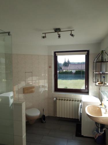 uma casa de banho com um lavatório, um WC e uma janela. em Vermietung Hänsel em Thiendorf