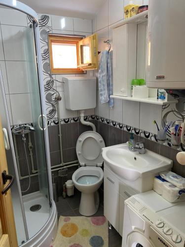 a small bathroom with a toilet and a sink at Brvnara Gradišnjica in Andrijevica