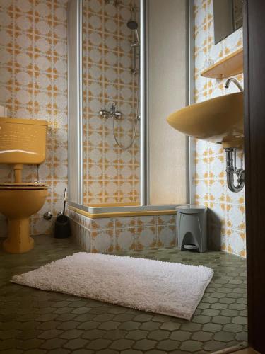 a bathroom with a shower and a white rug at Pension zur Quelle in Deudesfeld