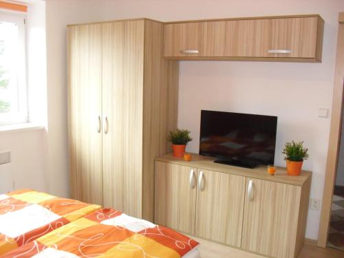 Schlafzimmer mit einem Bett und einem Schrank mit einem TV in der Unterkunft Apartmán Linda in Lipno nad Vltavou