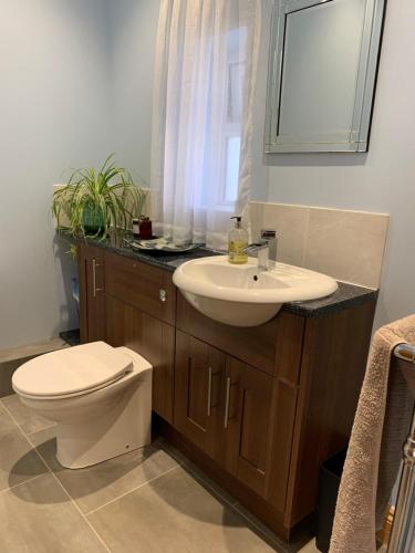 a bathroom with a sink and a toilet and a mirror at The Barn at White Rose Cottage in Towcester