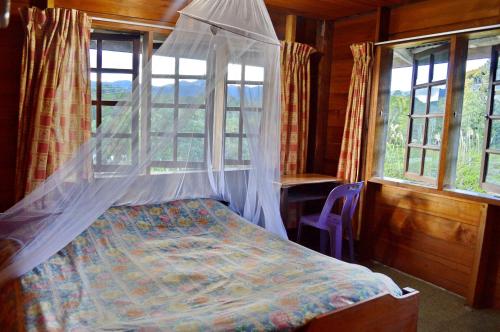 a bed with a mosquito net in a room with windows at Labang Guesthouse Bario in Bario