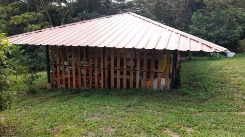Gallery image of Kayak Hostel Ecuador in Archidona
