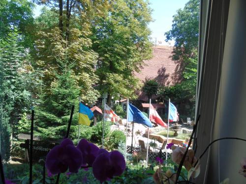 a window view of flags in a garden with purple flowers at Knaus Apartments in Chernivtsi